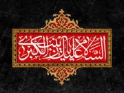 السيدة زينب عليها السلام ودورها في كربلاء السيدة زينب عليها السلام ودورها في كربلاء