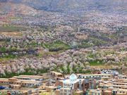 نقض گسترده آزادی مذهبی شیعیان افغانستان در روزهای عید فطر؛ «از افطار اجباری تا ممانعت از برگزاری نماز عید» نقض گسترده آزادی مذهبی شیعیان افغانستان در روزهای عید فطر؛ «از افطار اجباری تا ممانعت از برگزاری نماز عید»
