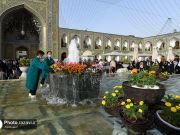 Fotos: Espectacular alfombra de flores de patios y el interior del santuario del Imam Rida (AS) Fotos: Espectacular alfombra de flores de patios y el interior del santuario del Imam Rida (AS)