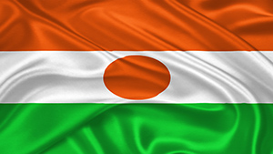 Niger flag