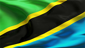 Tanzania flag