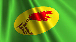 Zaire flag