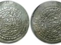 Amir Wali Coin