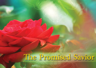 The Promised Savior Clip
