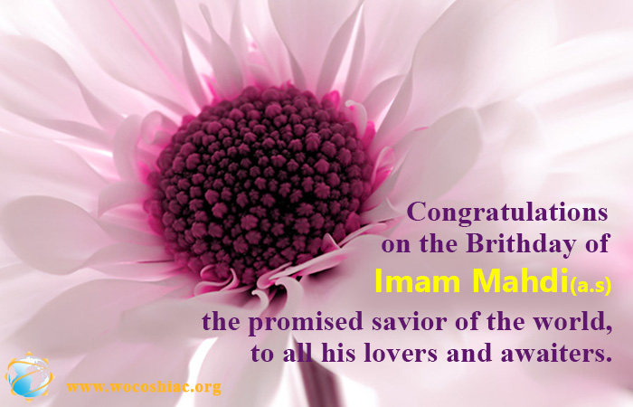 Image is not available